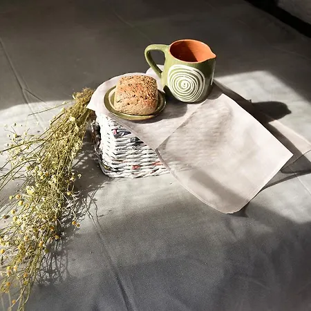 Country house Can Riera