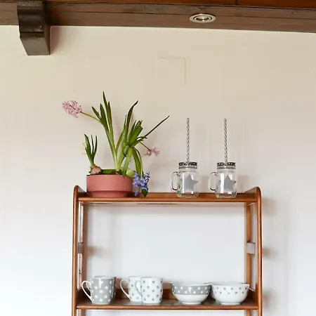 Country house Can Riera *