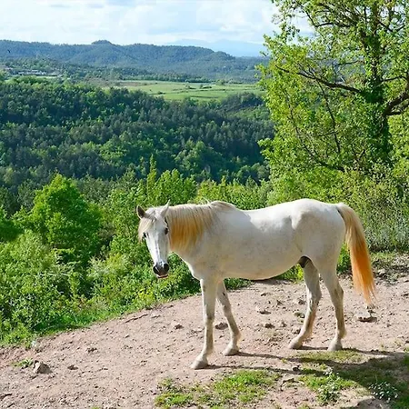 Séjour à la campagne Can Riera Santa Eulalia de Ríuprimer